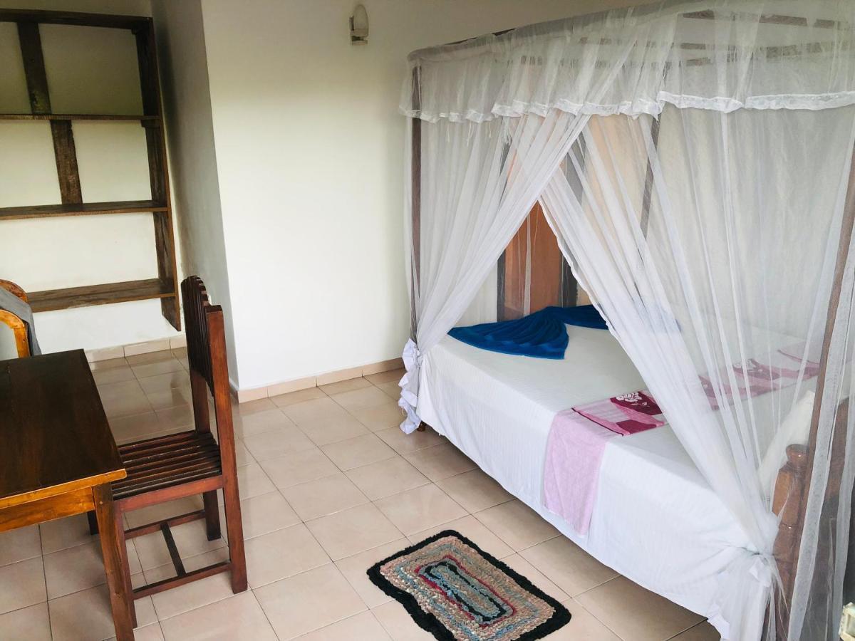 Surfers Paradise Weligama Dış mekan fotoğraf